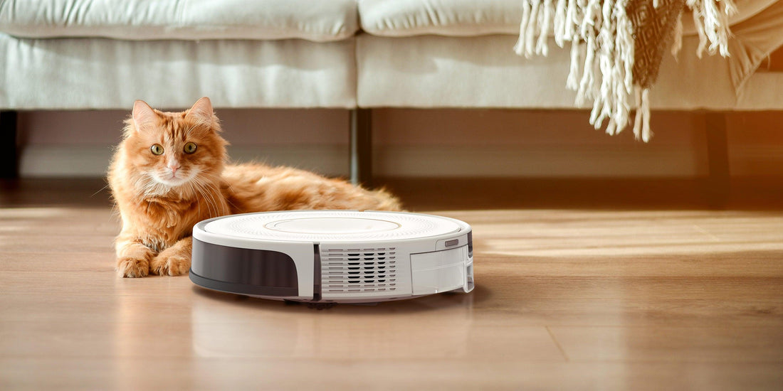 Should You Get A Robot Vacuum Cleaner?